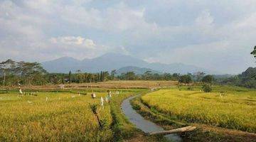 Gambar 3 Tanah Di Polaman Sangat Cocok Buat Tempat Wisata/Perumahan.