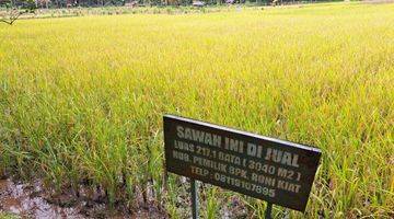 Gambar 1 DIJUAL SAWAH ,LOKASI STRATEGIS SUBUR DAN  MENGHASILKAN 