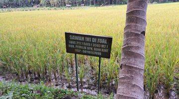 Gambar 2 DIJUAL SAWAH ,LOKASI STRATEGIS SUBUR DAN  MENGHASILKAN 