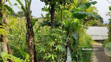 Gambar 2 Lahan Kebun Dikaki Gunung Salak Bogor 