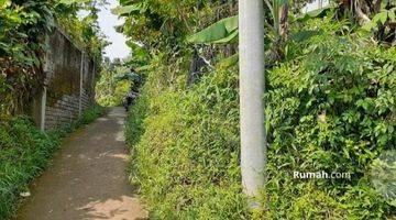 Gambar 3 Lahan Kebun Dikaki Gunung Salak Bogor 