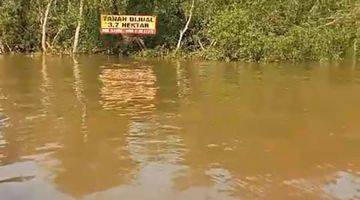 Gambar 4 Lahan kutai kartanegara kalimantan timur