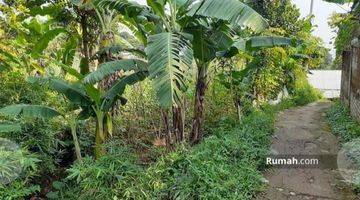 Gambar 1 Lahan Kebun Dikaki Gunung Salak Bogor 