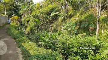 Gambar 4 Lahan Kebun Dikaki Gunung Salak Bogor 