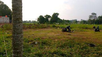 Gambar 2 Tanah Darat di Tajurhalang Bogor