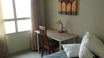 Gambar 2 Sewa Studio Ff Elodea Apartemen The Springlake View Summarecon Bekasi