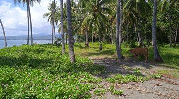 Gambar 4 BEACH FRONT NORTH OF LOMBOK