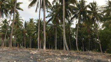 Gambar 3 BEACH FRONT NORTH OF LOMBOK