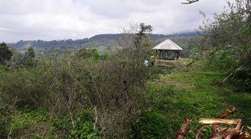 Gambar 2 Tanah di Bedugul, Tabanan 2.500 m²