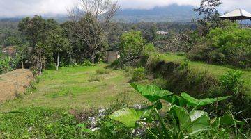 Gambar 1 Tanah di Bedugul, Tabanan 2.500 m²