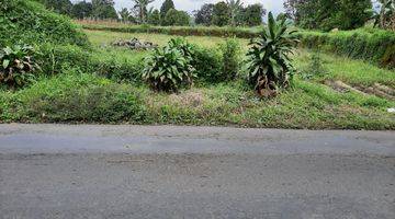 tampak depan tanah darat pinggir jalan raya