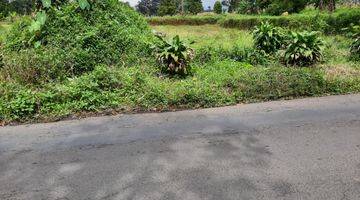 tampak depan tanah darat pinggir jalan raya