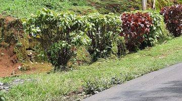 foto lainnya tanah darat pinggir jalan raya