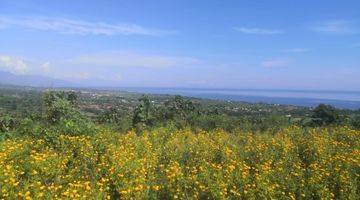 Gambar 1 T21 dijual Tanah di Dencarik Dengan View Laut Jawa, Buleleng