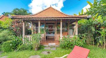 Gambar 5 Guesthouse For Sale In Rice Fields