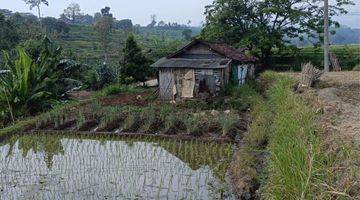 Gambar 1 Tanah Sawah Luas Dan Subur 200 Jutaan Di Mojokerto 