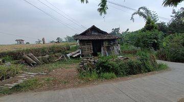 Gambar 2 Tanah Sawah Luas Dan Subur 200 Jutaan Di Mojokerto 