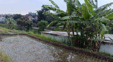 Gambar 3 Tanah Sawah Luas Dan Subur 200 Jutaan Di Mojokerto 