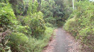 Gambar 3 For sale land in pecatu good location good price 