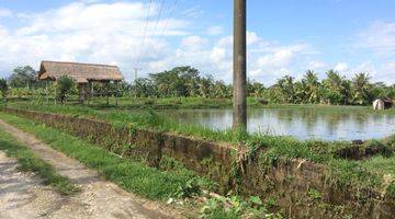 Gambar 1 DIJUAL TANAH UBUD 46 ARE 