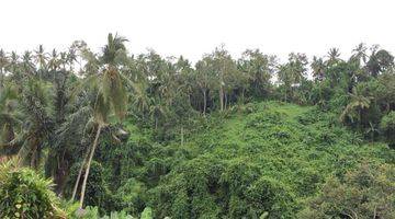 Gambar 2 DIJUAL TANAH UBUD 46 ARE 