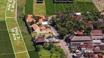 Gambar 1 For Rent Land Kedungu Near Kedungu Beach Great For Villas