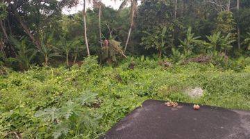 Gambar 1 DIJUAL TANAH KEDUNGU 495M² 400METER KEPANTAI