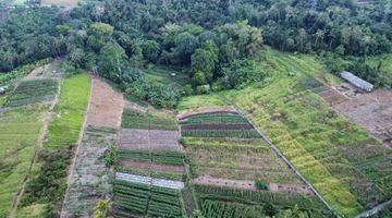 Gambar 3 Di Jual Tanah Di Yeh Gangga, Tabanan, Bali