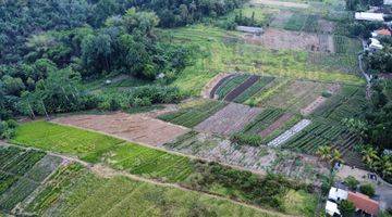 Gambar 4 Di Jual Tanah Di Yeh Gangga, Tabanan, Bali