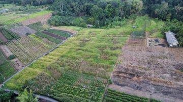 Gambar 1 Di Jual Tanah Di Yeh Gangga, Tabanan, Bali