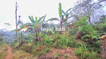 Gambar 5 Tanah, Beautiful Land With Countour Shape For Sale In Buleleng, Singaraja, Bali