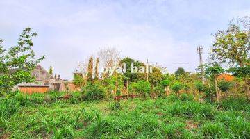 Gambar 4 Tanah, Land 500m² Near Jimbaran Beach, Badung, Bali