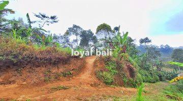 Gambar 2 Tanah, Beautiful Land With Countour Shape For Sale In Buleleng, Singaraja, Bali