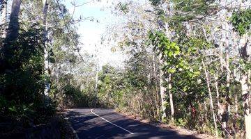 Gambar 4 Tanah, The Perfect Land With Ocean View In Pecatu, Bali