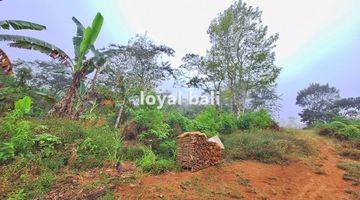 Gambar 4 Tanah, Beautiful Land With Countour Shape For Sale In Buleleng, Singaraja, Bali