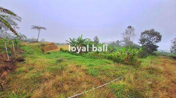 Gambar 1 Tanah, Beautiful Land With Countour Shape For Sale In Buleleng, Singaraja, Bali