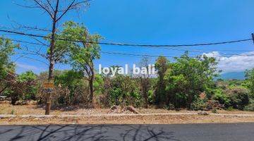 Gambar 4 Tanah 15.000m² Land In Of Tegal Linggah, Buleleng, Bali