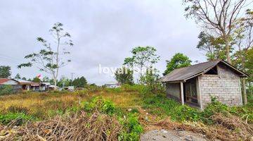 Gambar 4 Tanah 3.700m² Land In Of Kintamani, Bali