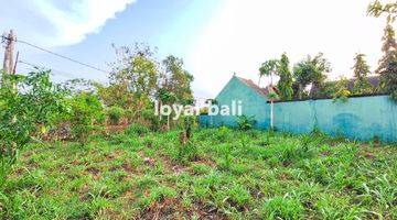 Gambar 2 Tanah, Land 500m² Near Jimbaran Beach, Badung, Bali