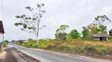 Gambar 1 Tanah 3.700m² Land In Of Kintamani, Bali