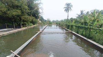 Gambar 3 Tanah Produktif Peternakan Ikan Di Pinggir Sungai Di Pamijahan