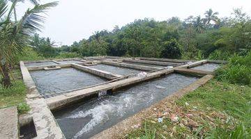 Gambar 1 Tanah Produktif Peternakan Ikan Di Pinggir Sungai Di Pamijahan