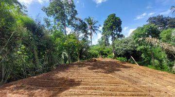 Gambar 1 Dijual Tanah Kavling 9,55 Are Peyangan Ubud Br 2149