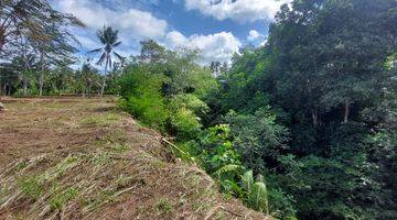 Gambar 4 Dijual Tanah Kavling 9,55 Are Peyangan Ubud Br 2149