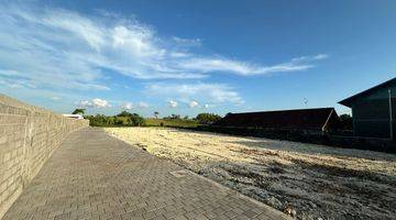 Gambar 5 Dijual Tanah Kavling 3,31 Are Padonan, Canggu Jt 2163