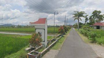 Gambar 3 Tanah Sawah Produktif di Pedesaan Wedi Klaten