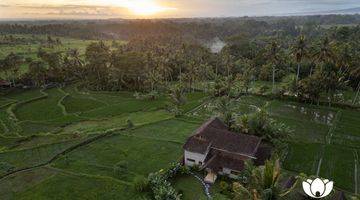 Gambar 2 Villa Leasehold Dengan Pemandangan Sawah Yang Menakjubkan Dan Taman Yang Luas