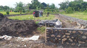 Gambar 2 Tanah Di Subak Telaga Sukawati Gianyar  