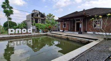 Gambar 1 Villa Estetik, View Merapi & Sawah, Kolam Ikan