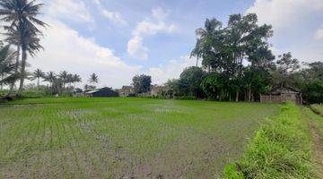 Gambar 1 Tanah Sawah SHM Malang di Sidorejo Jabung Dijual Cepat B.u Poll